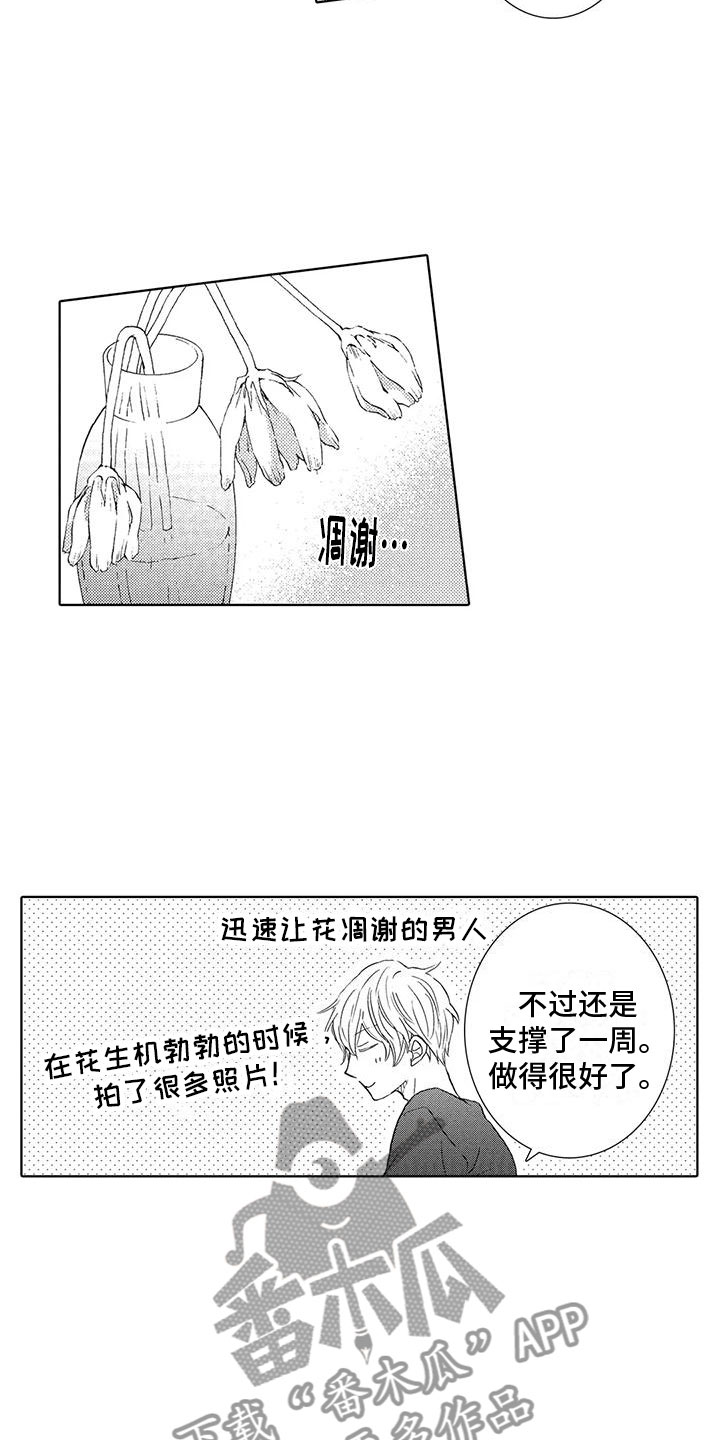 《爱如夏花》漫画最新章节第12章：我想见你免费下拉式在线观看章节第【12】张图片