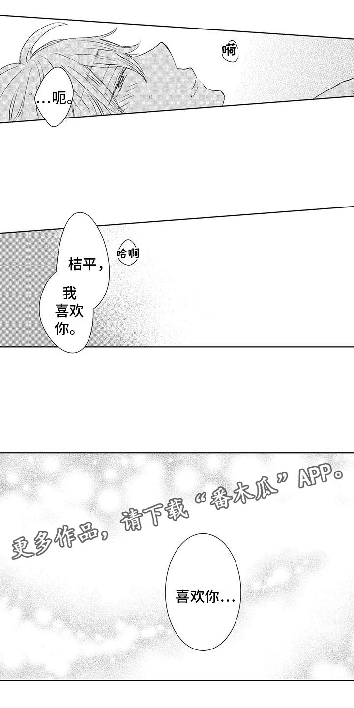 《爱如夏花》漫画最新章节第19章：喜欢你免费下拉式在线观看章节第【2】张图片