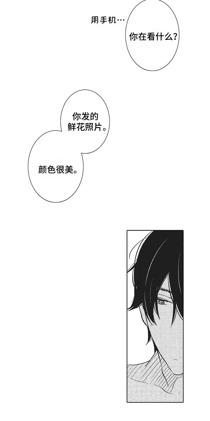 《爱如夏花》漫画最新章节第20章：恶意使用免费下拉式在线观看章节第【17】张图片