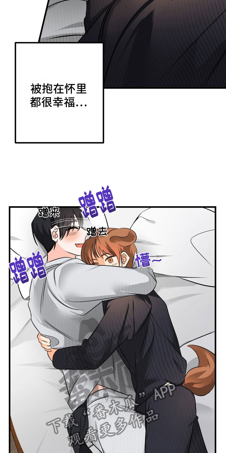 《用心爱》漫画最新章节第9章：喜欢你免费下拉式在线观看章节第【3】张图片