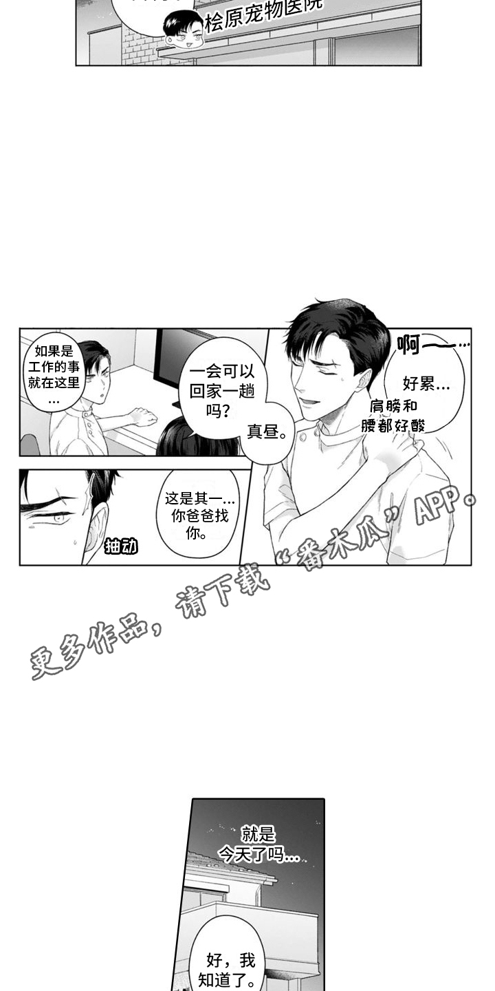 《我的依靠》漫画最新章节第43章：坦白免费下拉式在线观看章节第【6】张图片