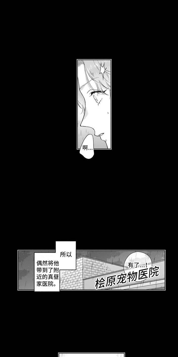 《我的依靠》漫画最新章节第45章：并不简单免费下拉式在线观看章节第【5】张图片