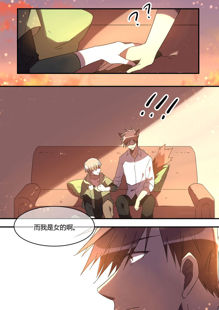 《流星与刀》漫画最新章节第22章：免费下拉式在线观看章节第【3】张图片