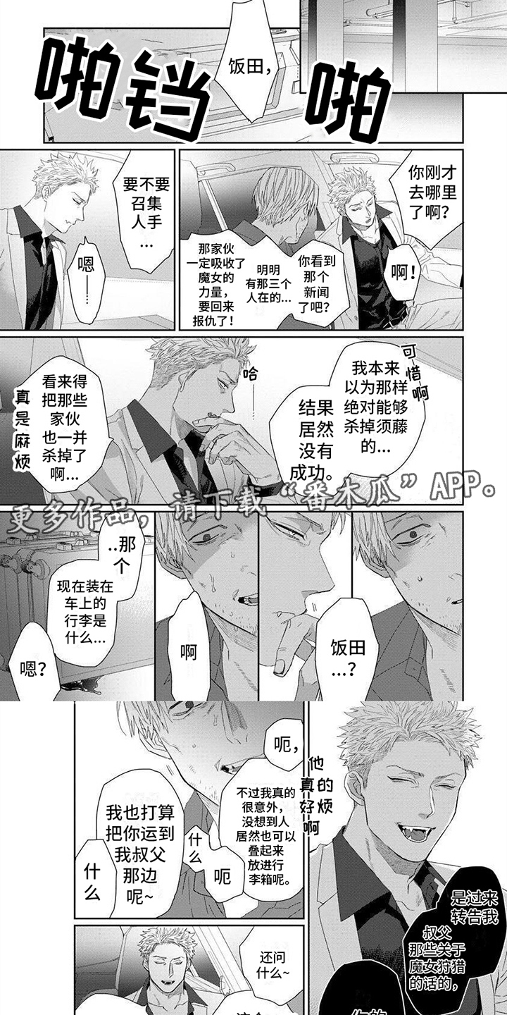 《魔女的猫》漫画最新章节第16章：内幕免费下拉式在线观看章节第【3】张图片