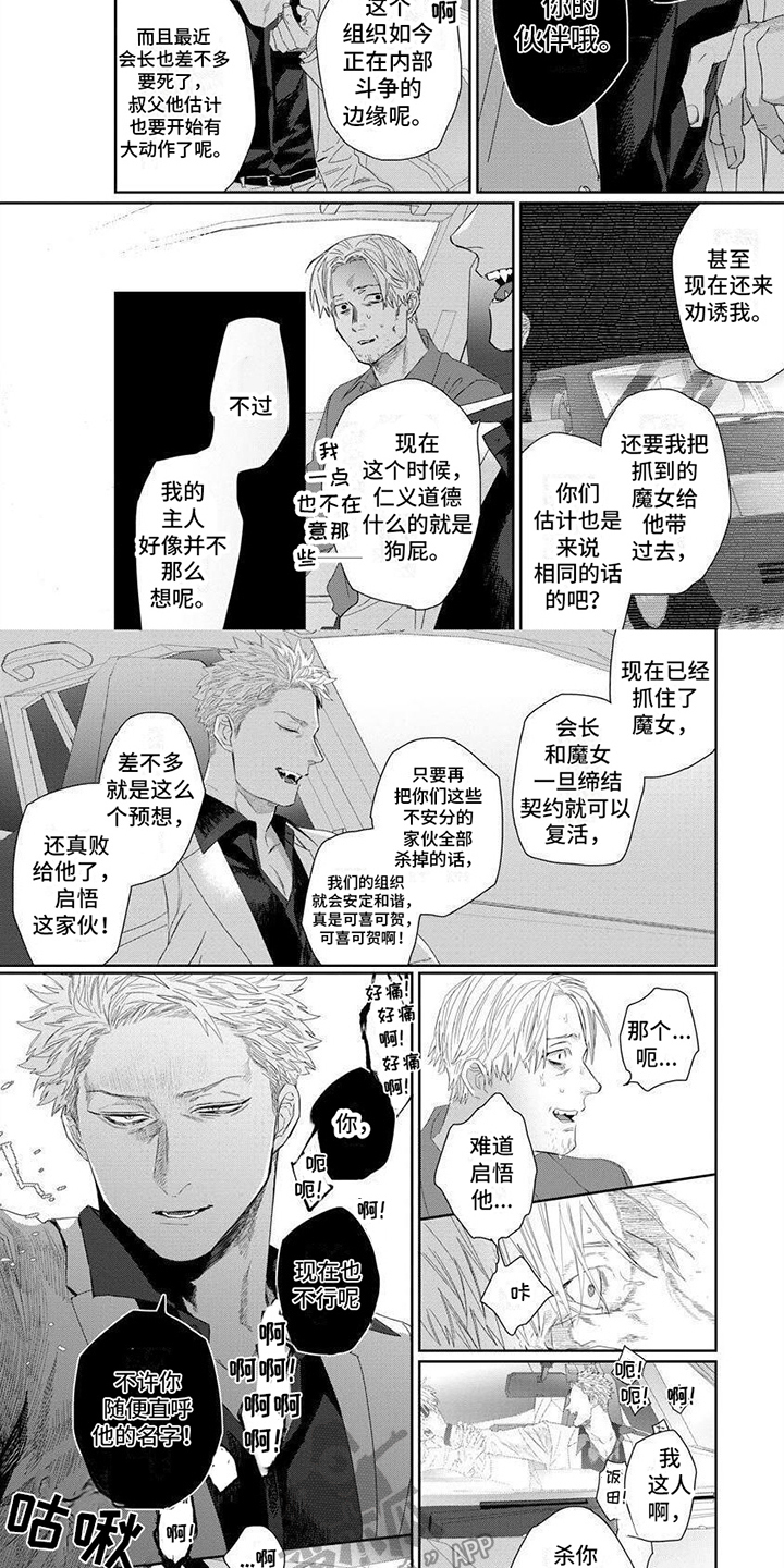 《魔女的猫》漫画最新章节第16章：内幕免费下拉式在线观看章节第【2】张图片