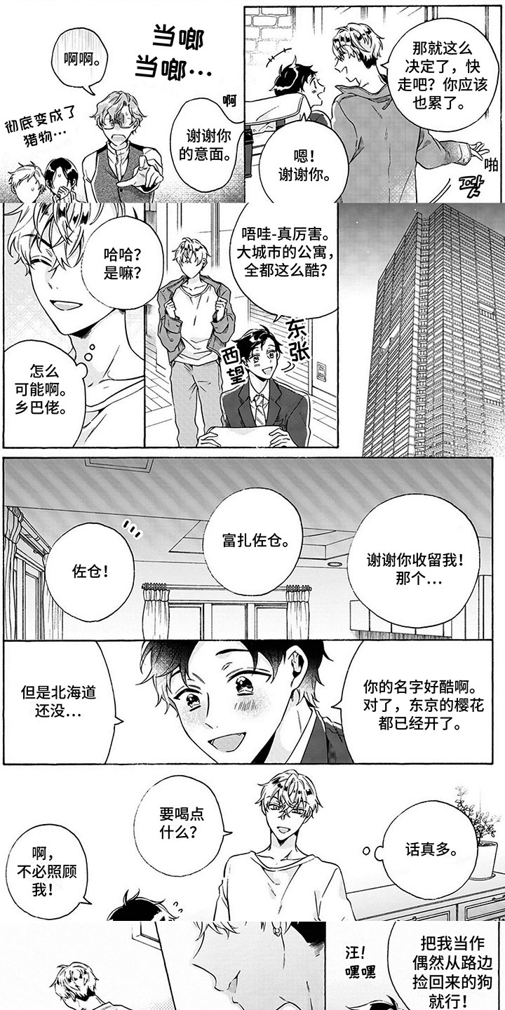 《爱上我的宠物》漫画最新章节第2章：奇怪的同居免费下拉式在线观看章节第【7】张图片