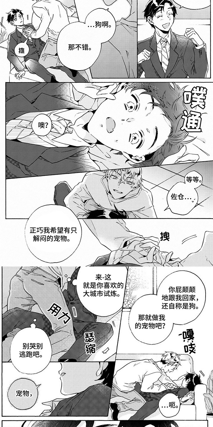 《爱上我的宠物》漫画最新章节第2章：奇怪的同居免费下拉式在线观看章节第【6】张图片