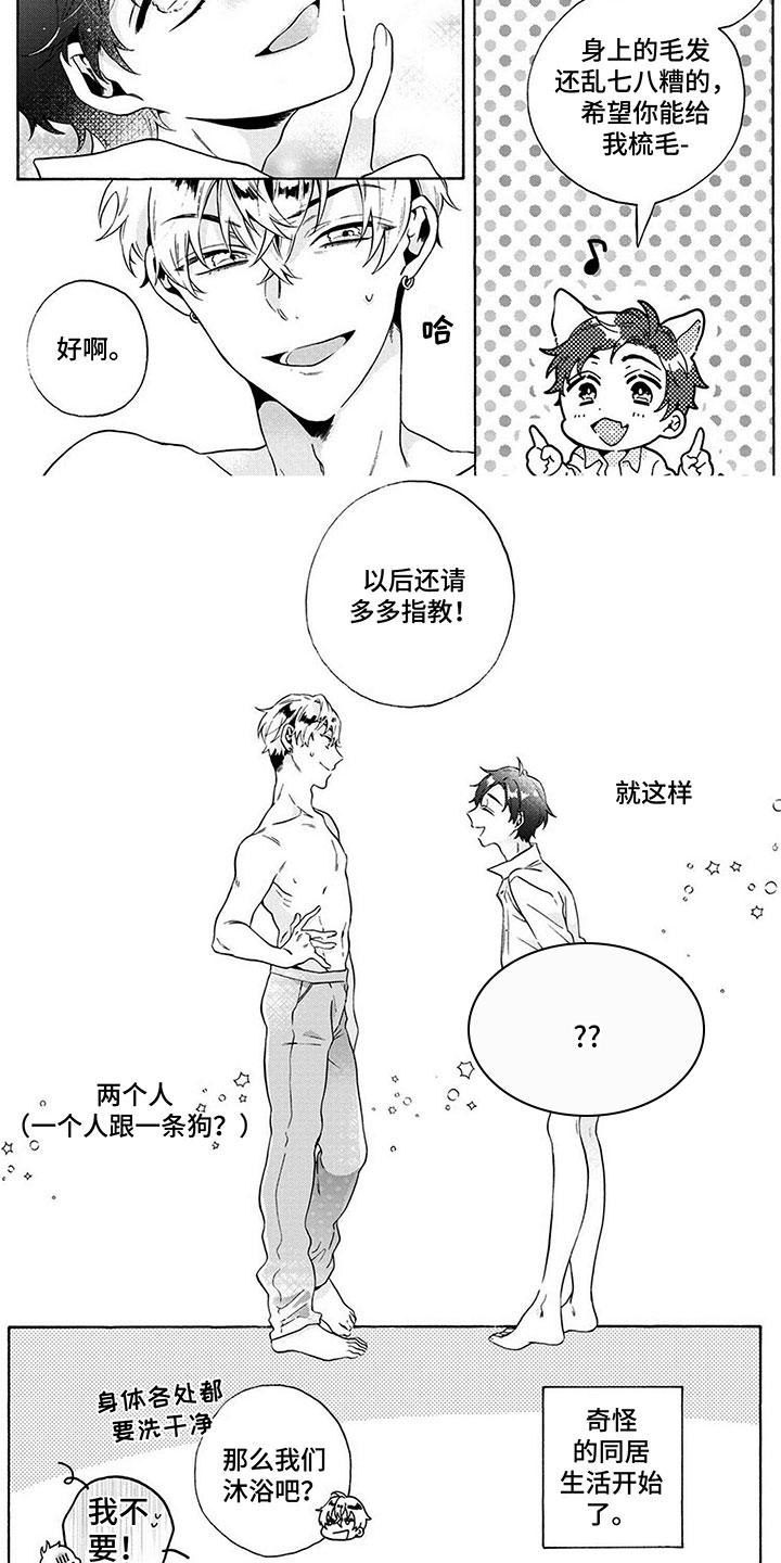 《爱上我的宠物》漫画最新章节第2章：奇怪的同居免费下拉式在线观看章节第【2】张图片