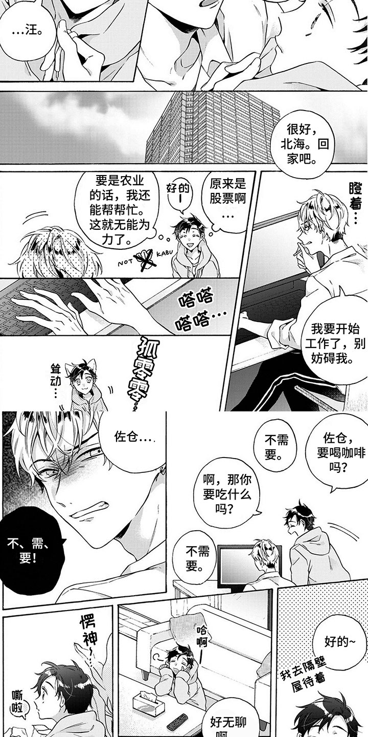 《爱上我的宠物》漫画最新章节第3章：土狗免费下拉式在线观看章节第【4】张图片