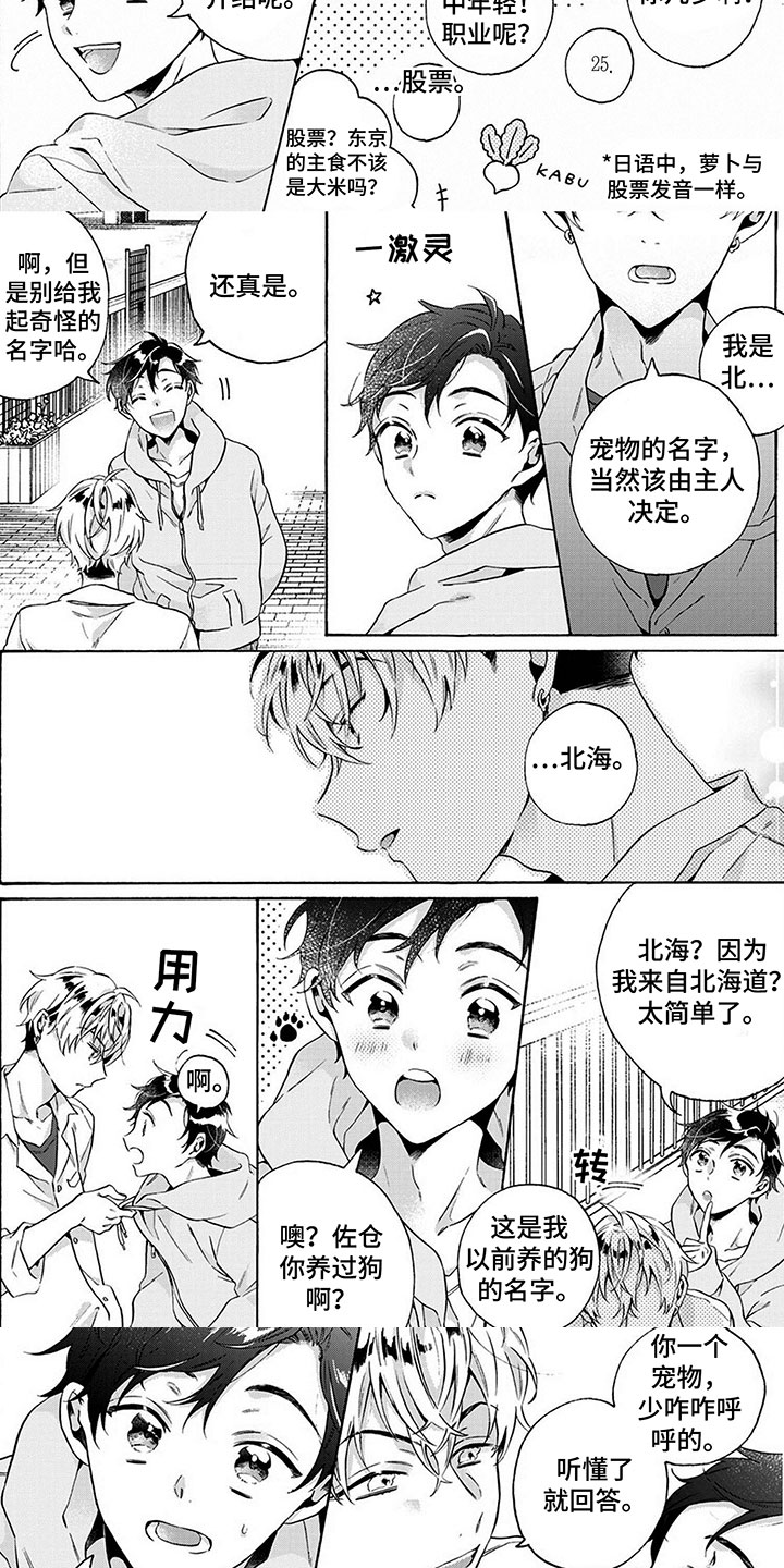 《爱上我的宠物》漫画最新章节第3章：土狗免费下拉式在线观看章节第【5】张图片