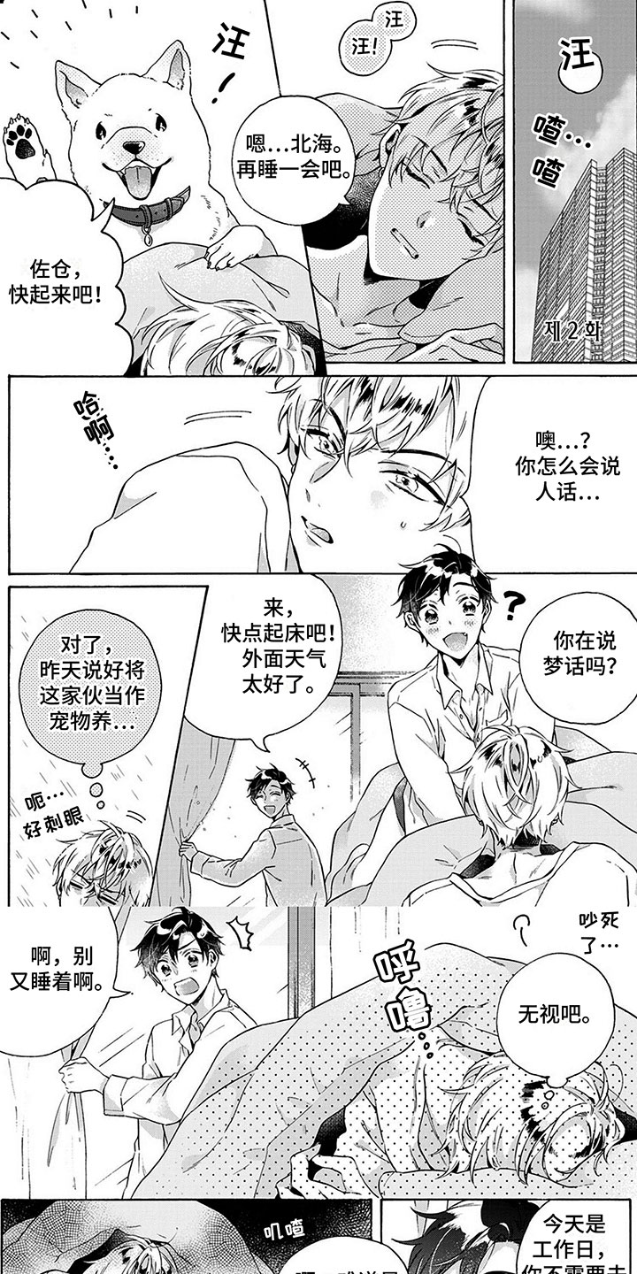 《爱上我的宠物》漫画最新章节第3章：土狗免费下拉式在线观看章节第【7】张图片