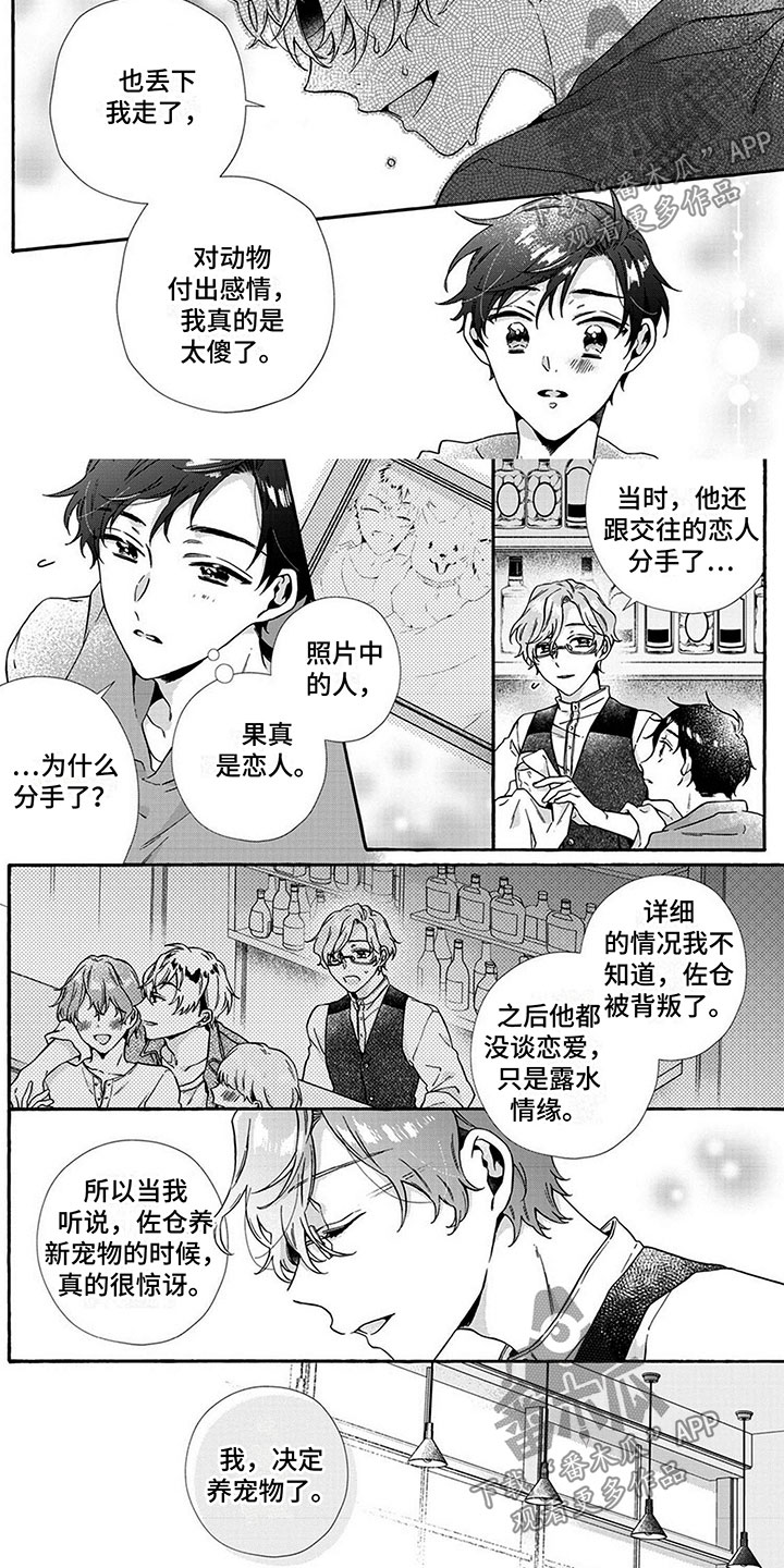 《爱上我的宠物》漫画最新章节第8章：前任免费下拉式在线观看章节第【6】张图片