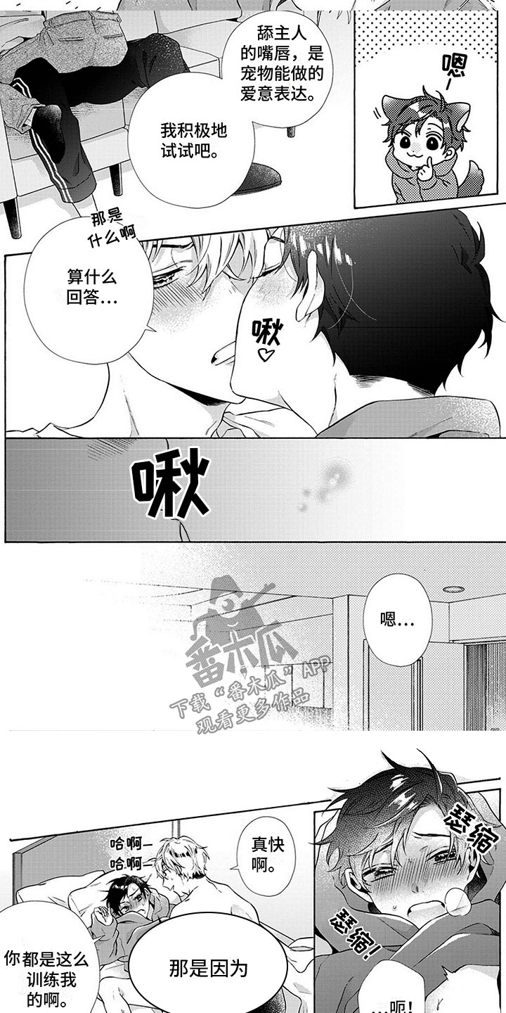 《爱上我的宠物》漫画最新章节第9章：消失免费下拉式在线观看章节第【3】张图片