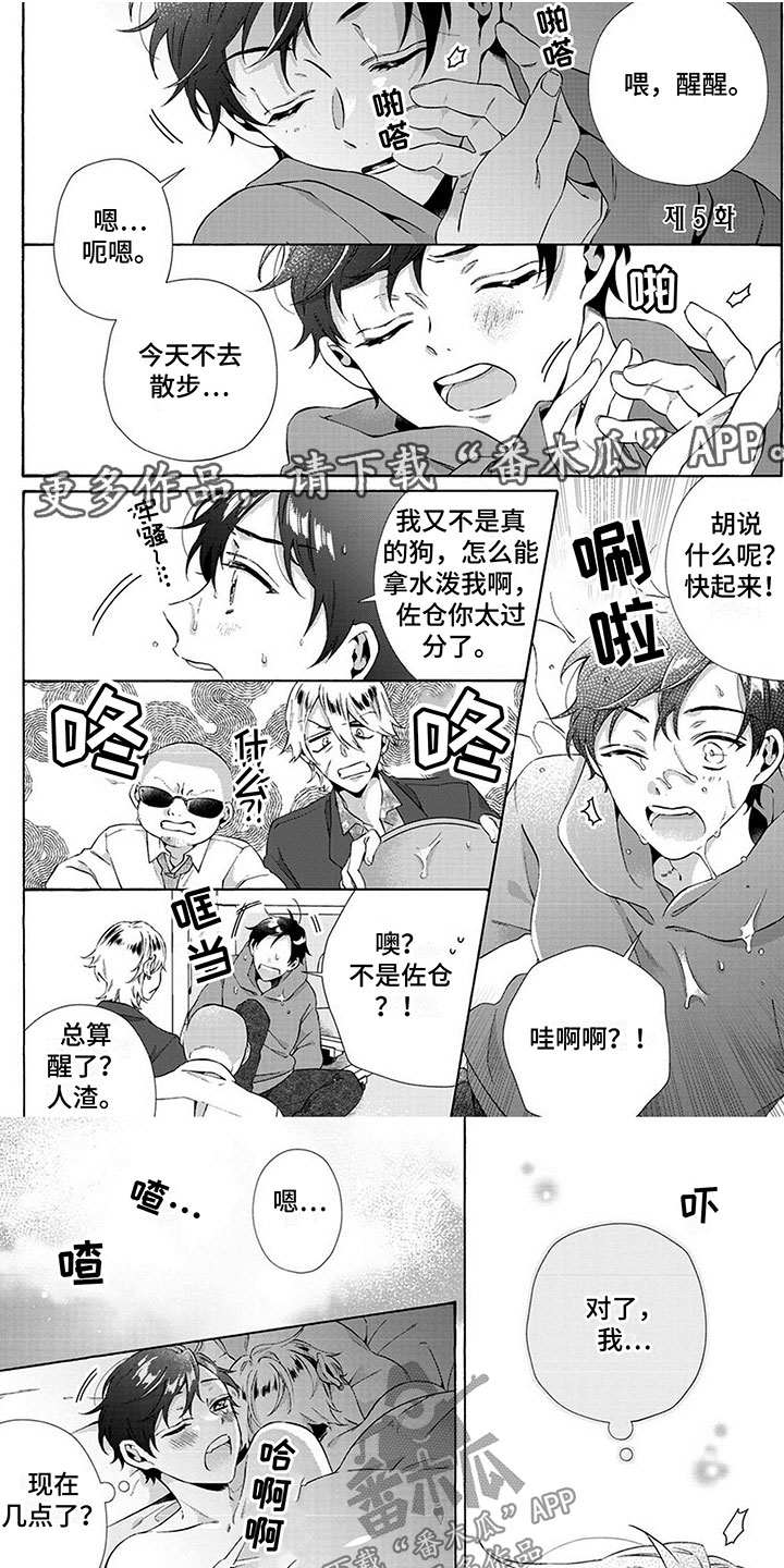 《爱上我的宠物》漫画最新章节第10章：绑架免费下拉式在线观看章节第【8】张图片