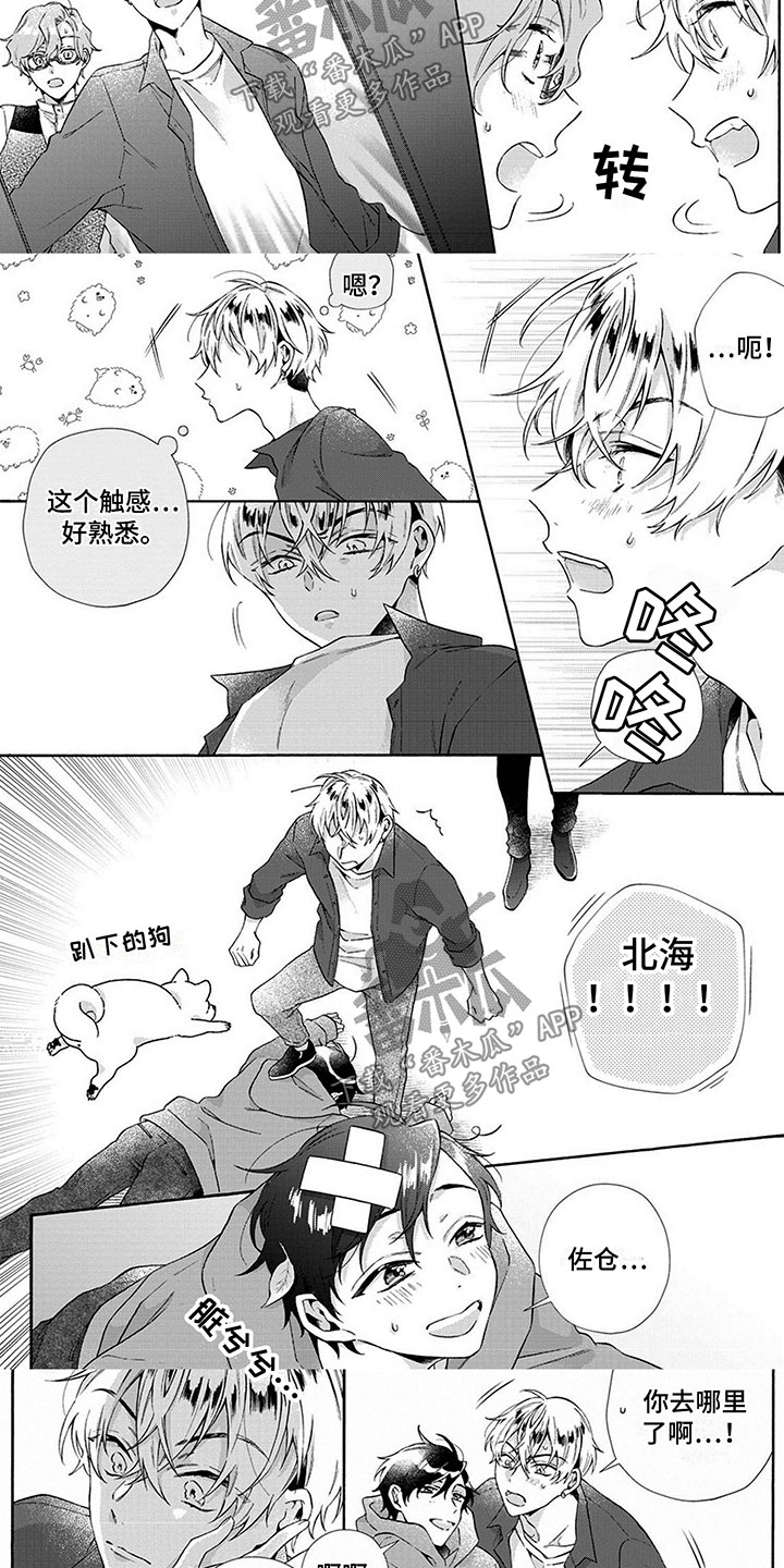 《爱上我的宠物》漫画最新章节第13章：我回来了免费下拉式在线观看章节第【6】张图片