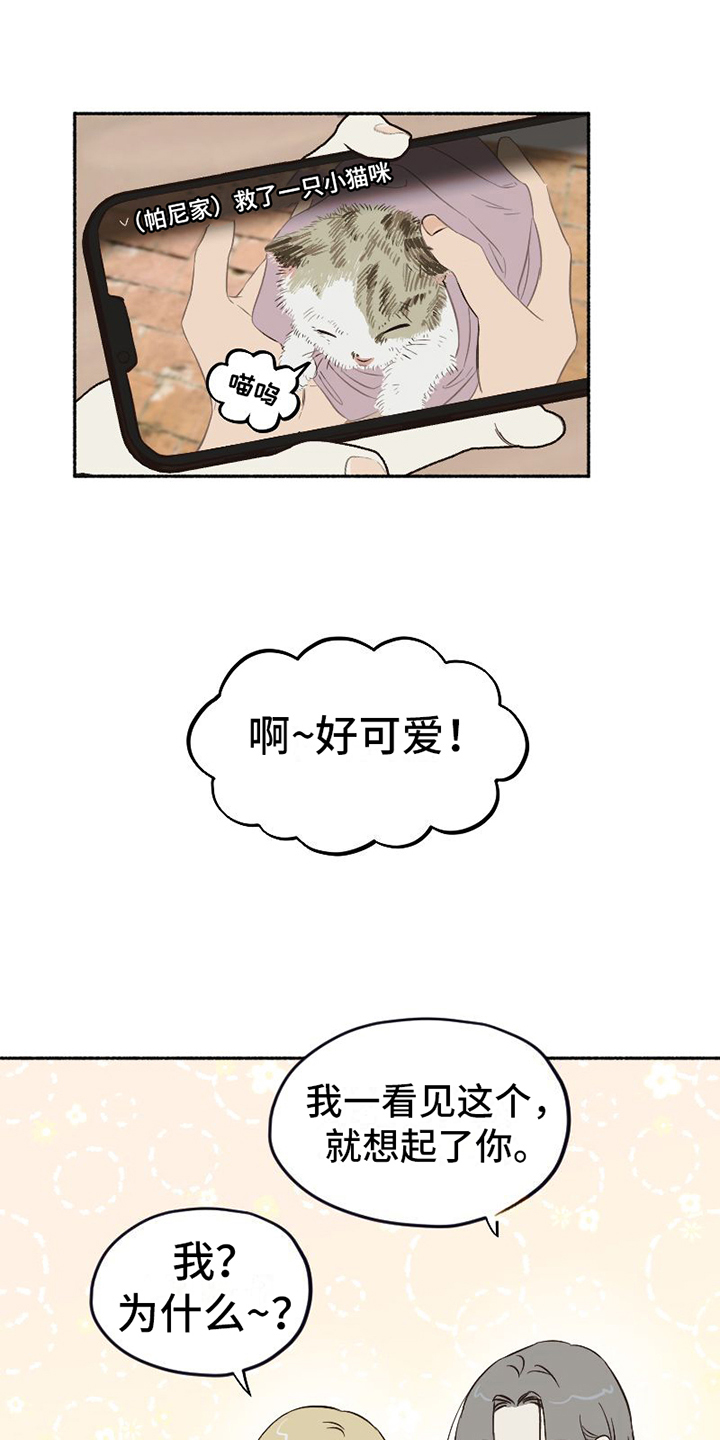 《雪融化的地方》漫画最新章节第1章：单纯免费下拉式在线观看章节第【20】张图片