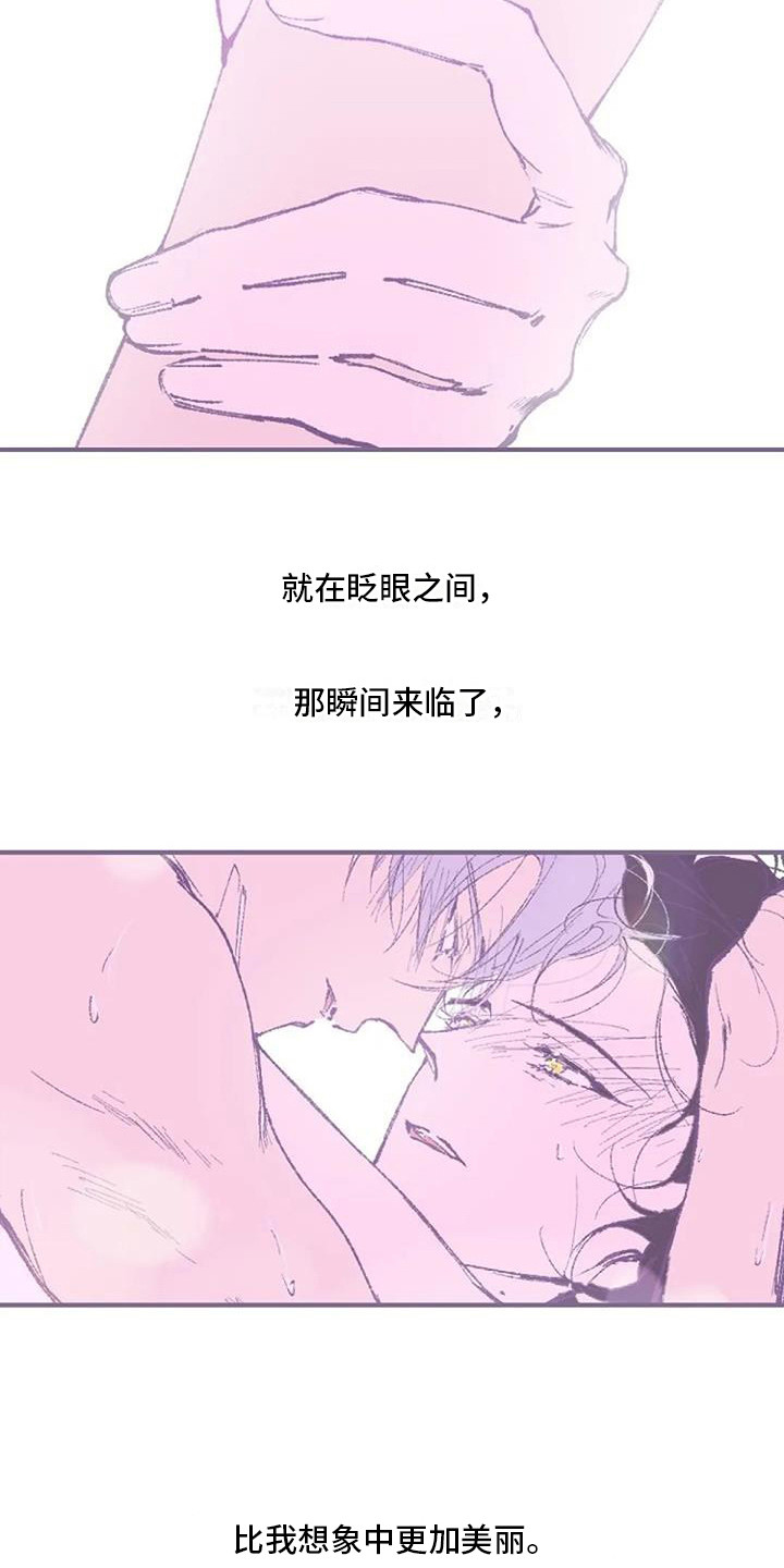 《末日旅伴》漫画最新章节第11章：很美丽 免费下拉式在线观看章节第【13】张图片