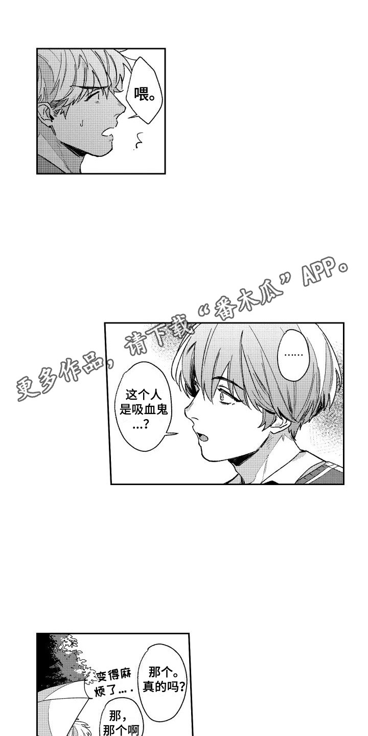 《白金之血》漫画最新章节第15章：再次遇见免费下拉式在线观看章节第【4】张图片