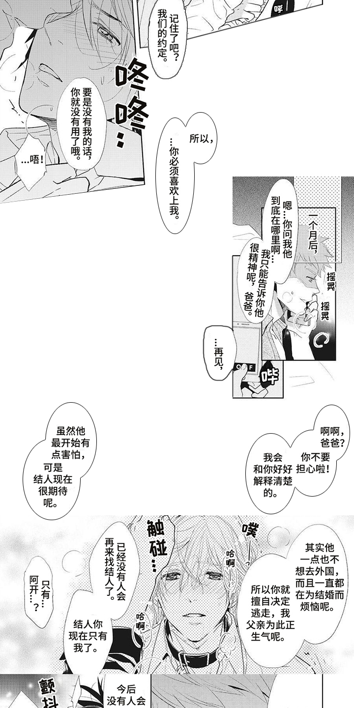 《狼的偏爱》漫画最新章节第15章：偏执免费下拉式在线观看章节第【3】张图片