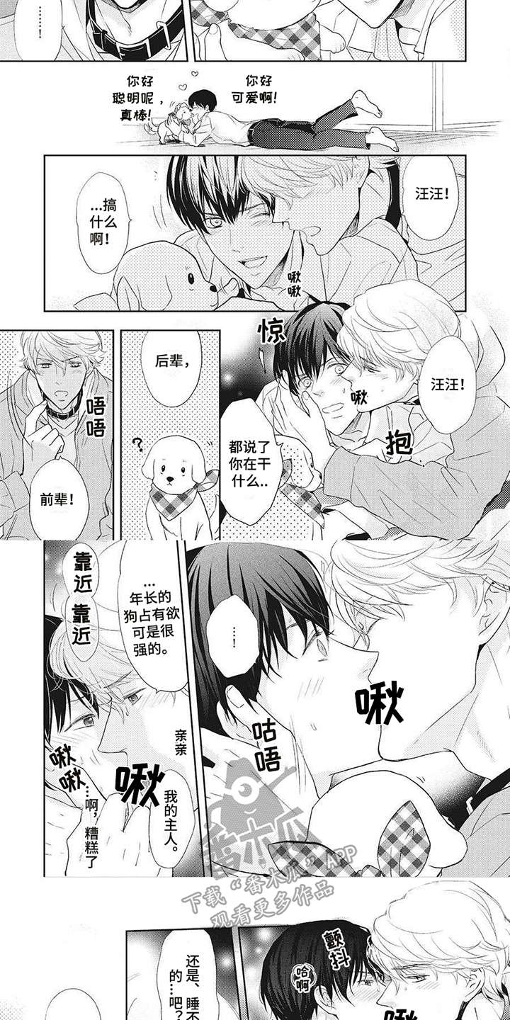 《狼的偏爱》漫画最新章节第8章：睡不着免费下拉式在线观看章节第【5】张图片