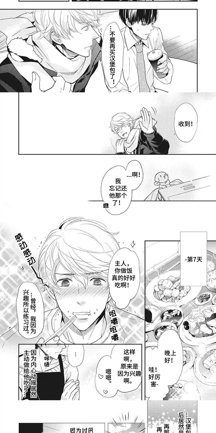 《狼的偏爱》漫画最新章节第7章：租赁期免费下拉式在线观看章节第【2】张图片