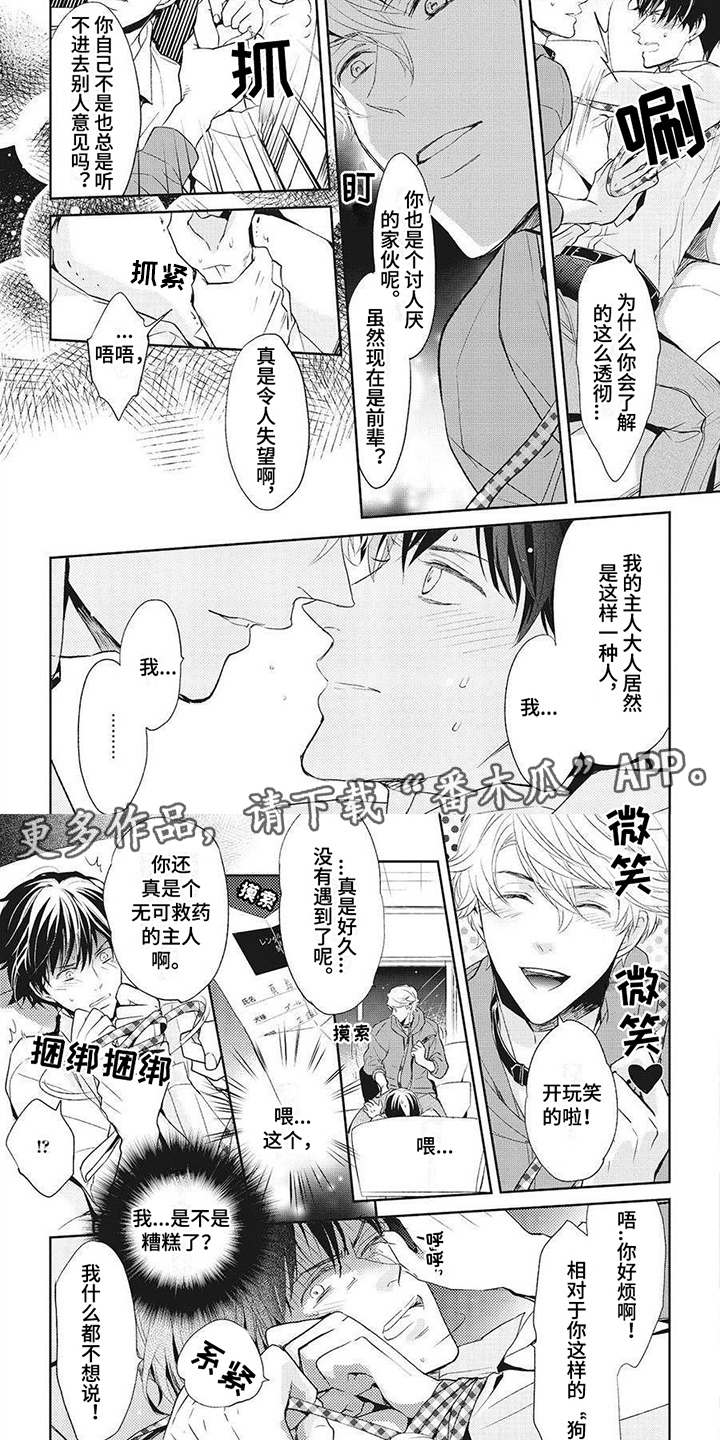 《狼的偏爱》漫画最新章节第6章：好好玩耍免费下拉式在线观看章节第【4】张图片