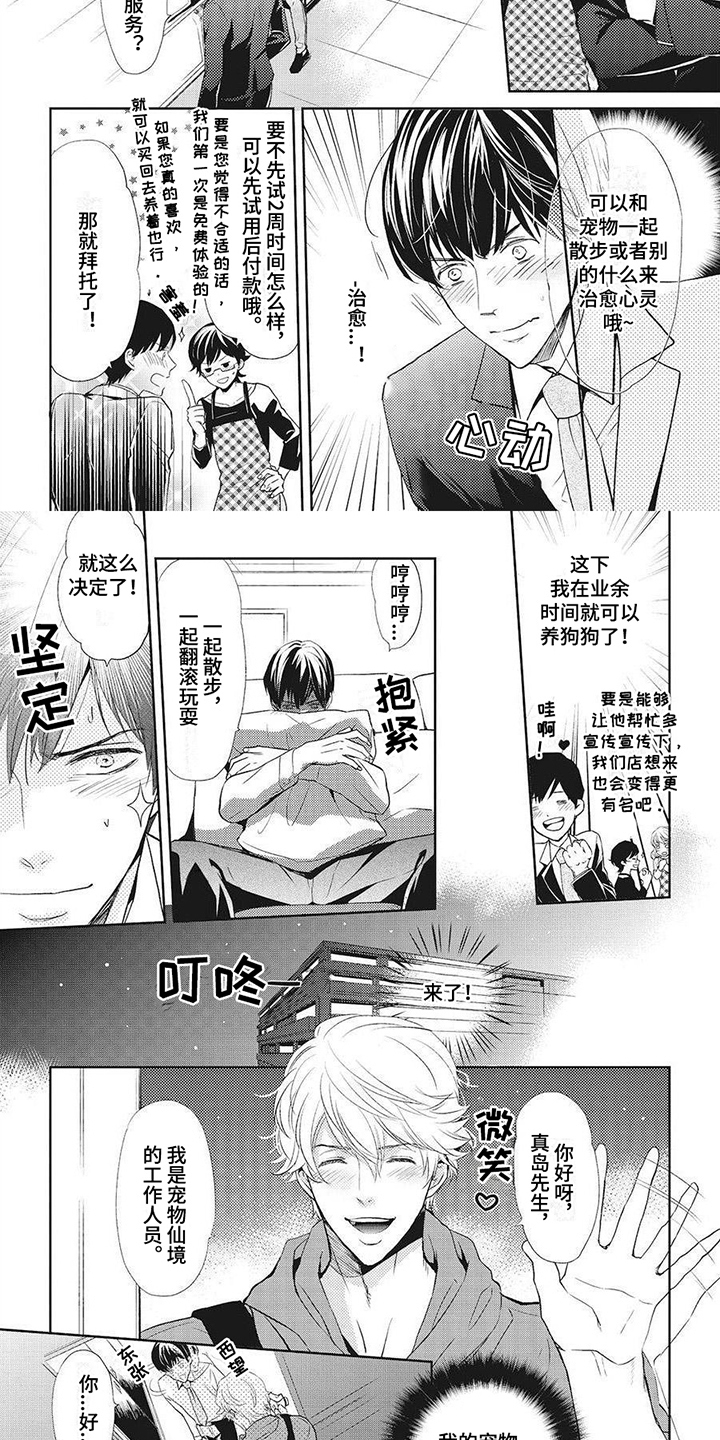 《狼的偏爱》漫画最新章节第5章：项圈免费下拉式在线观看章节第【4】张图片