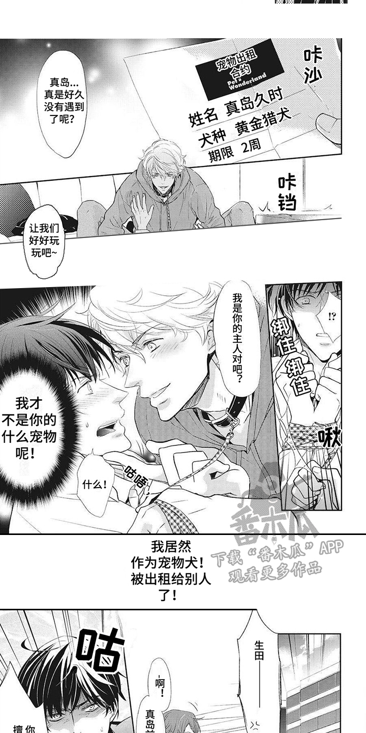 《狼的偏爱》漫画最新章节第4章：宠物犬免费下拉式在线观看章节第【2】张图片