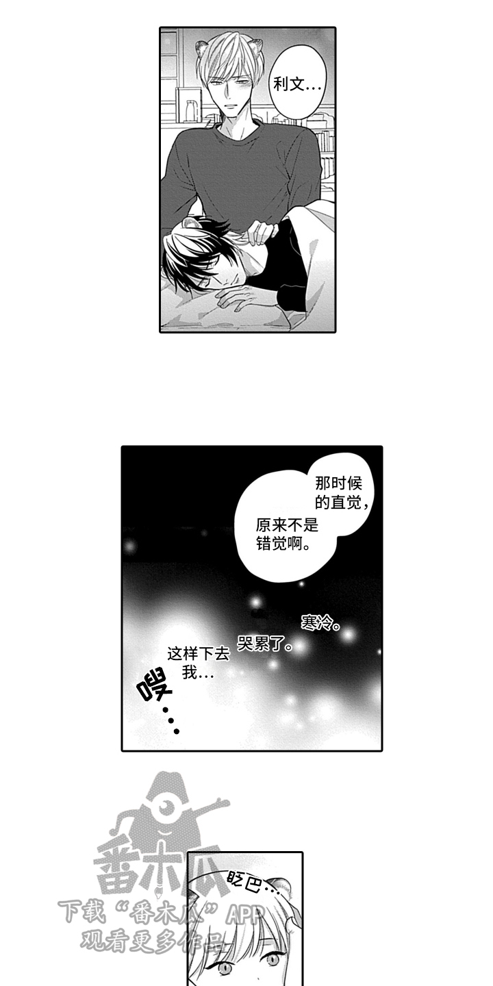 《我的经纪人》漫画最新章节第24章：【番外】去哪都行免费下拉式在线观看章节第【3】张图片