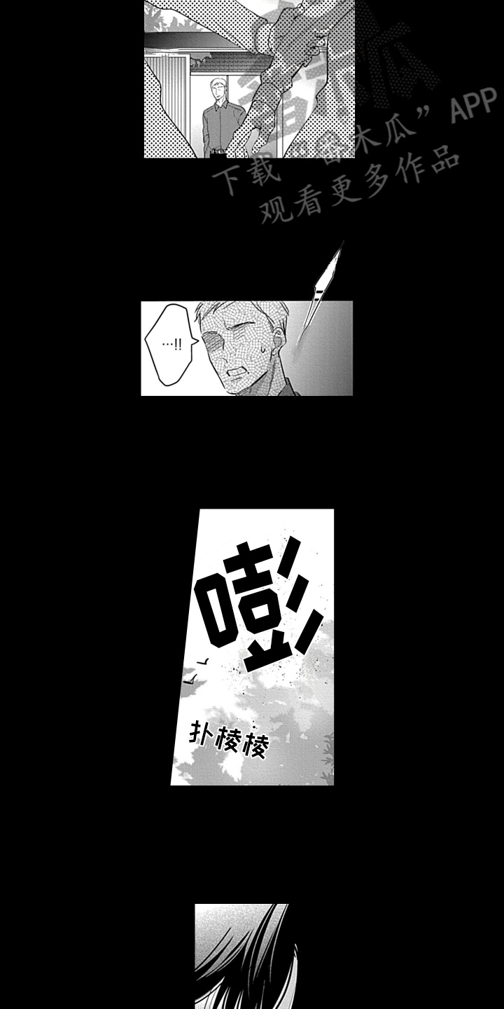 《我的经纪人》漫画最新章节第19章：感情寄托免费下拉式在线观看章节第【6】张图片