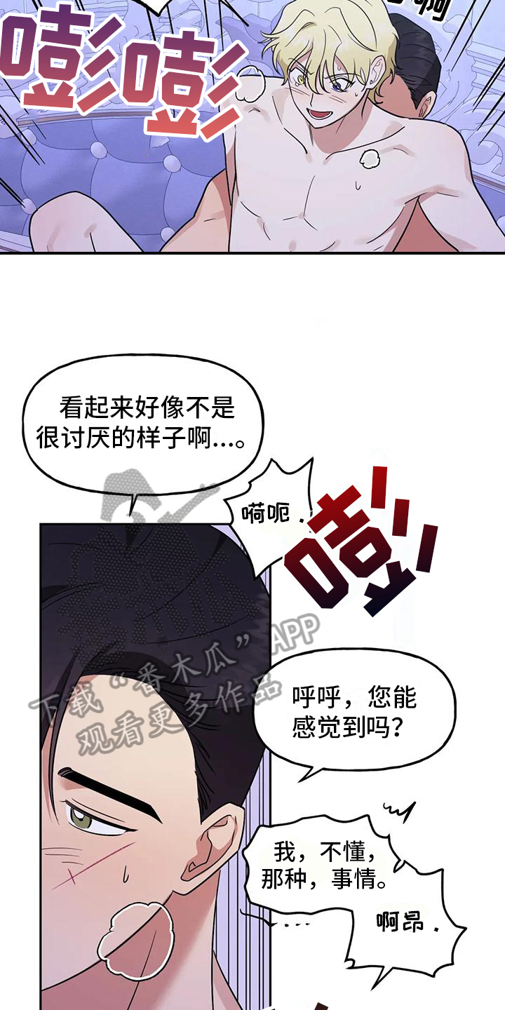 《虚幻王子》漫画最新章节第9章：不讨厌免费下拉式在线观看章节第【13】张图片