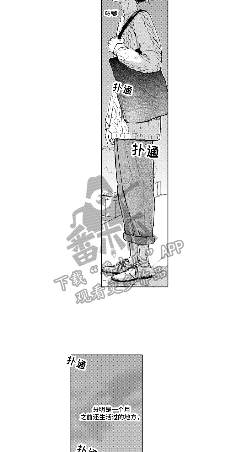 《我甜蜜的家》漫画最新章节第18章：决心免费下拉式在线观看章节第【11】张图片