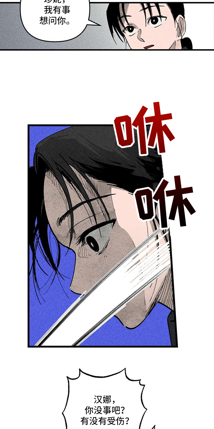 《女巫岛》漫画最新章节第3章：不普通免费下拉式在线观看章节第【5】张图片