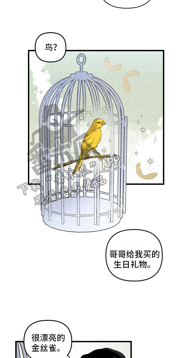 《女巫岛》漫画最新章节第7章：小动作免费下拉式在线观看章节第【7】张图片