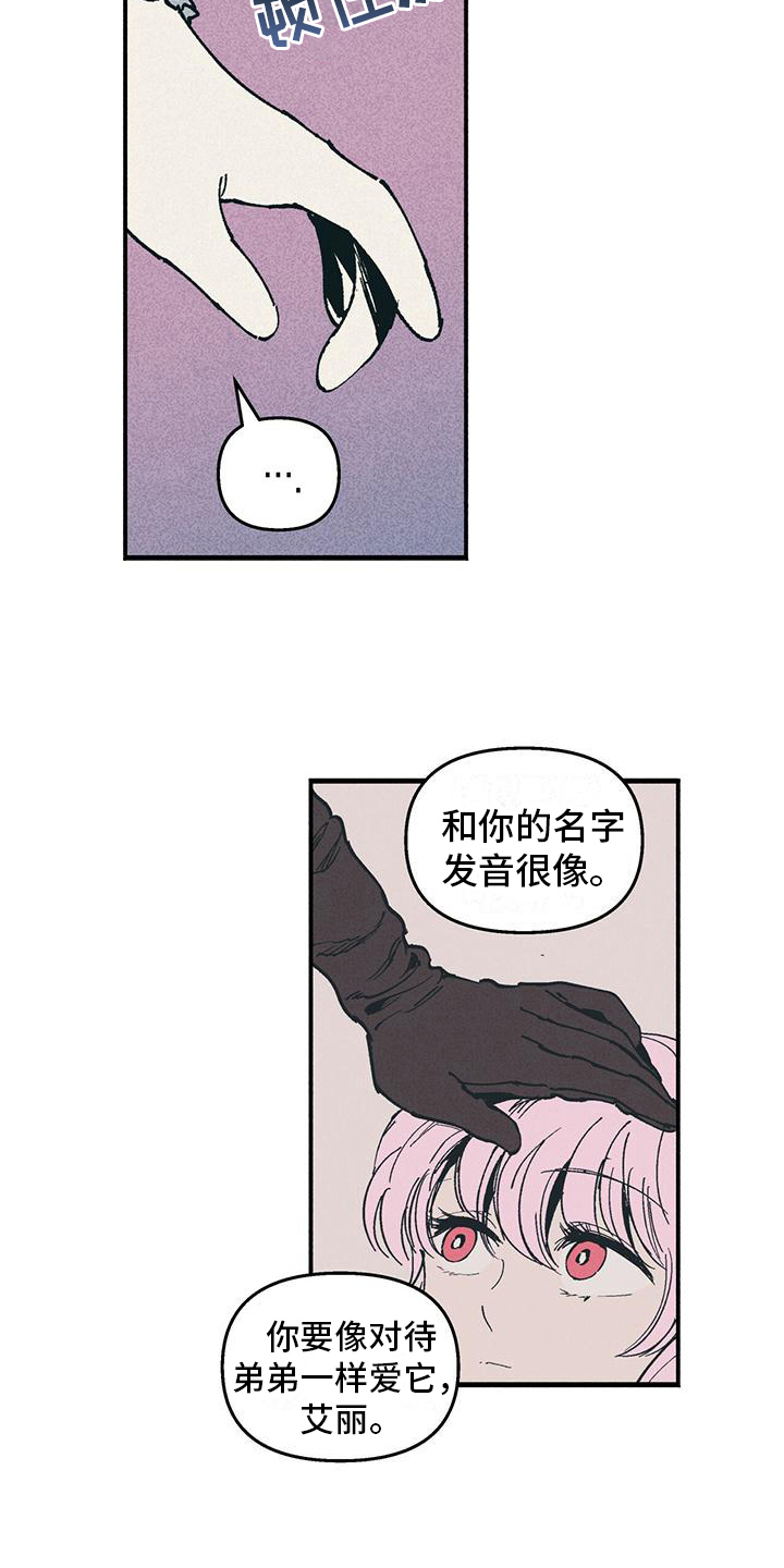 《女巫岛》漫画最新章节第18章：迟疑免费下拉式在线观看章节第【11】张图片