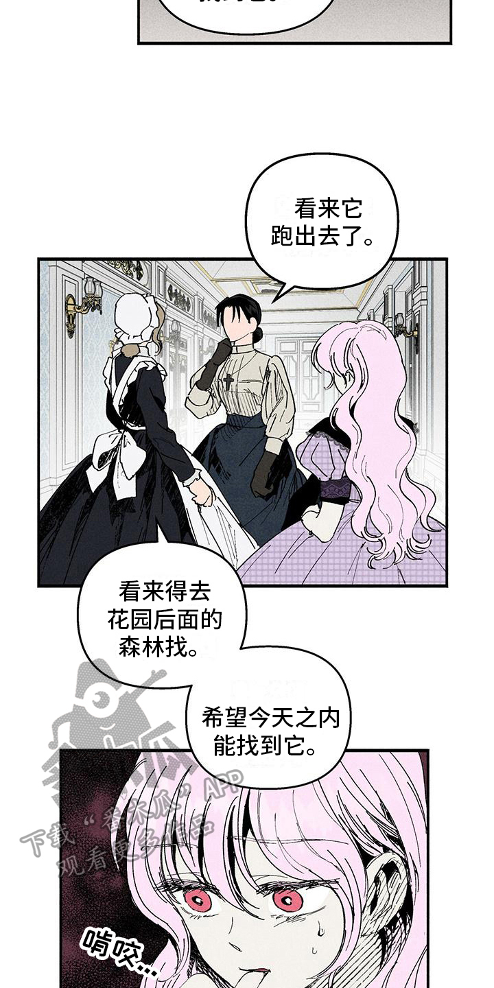 《女巫岛》漫画最新章节第24章：那是谁的血免费下拉式在线观看章节第【9】张图片