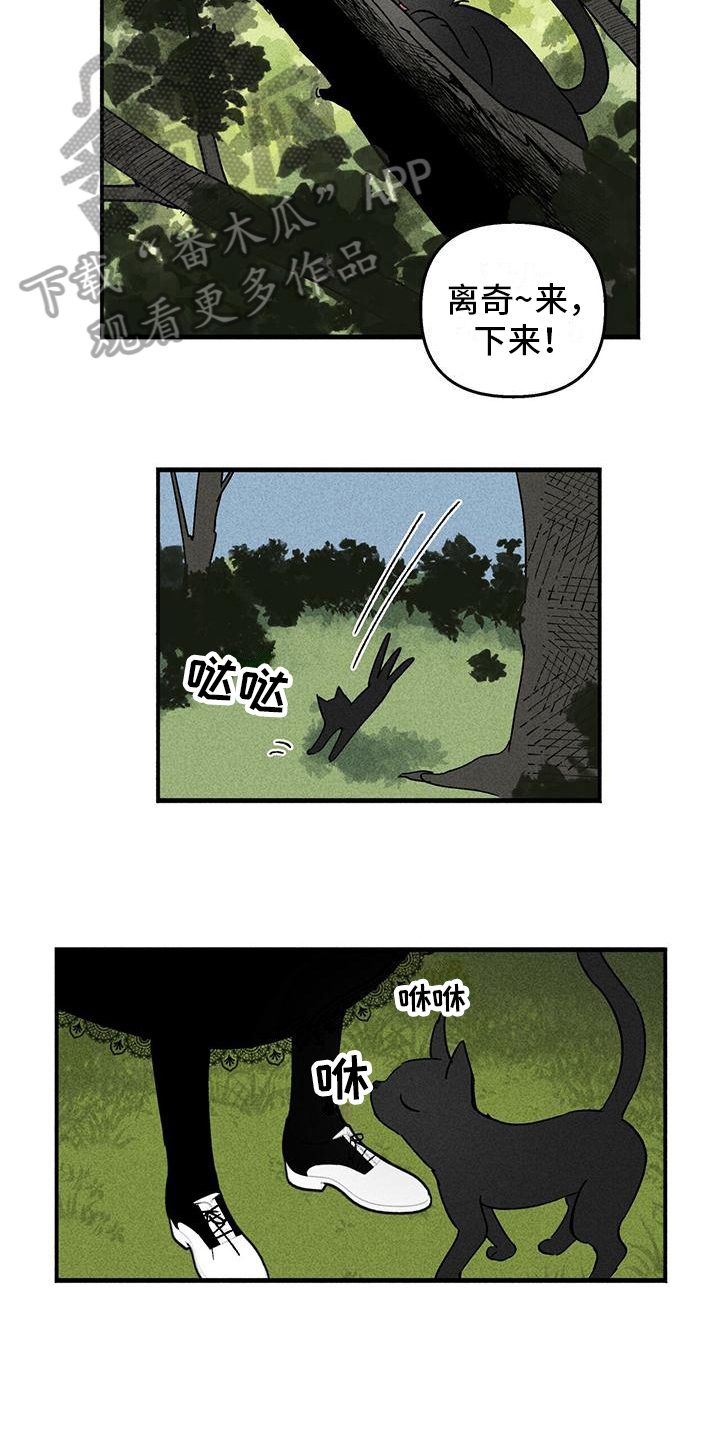 《女巫岛》漫画最新章节第25章：询问免费下拉式在线观看章节第【3】张图片