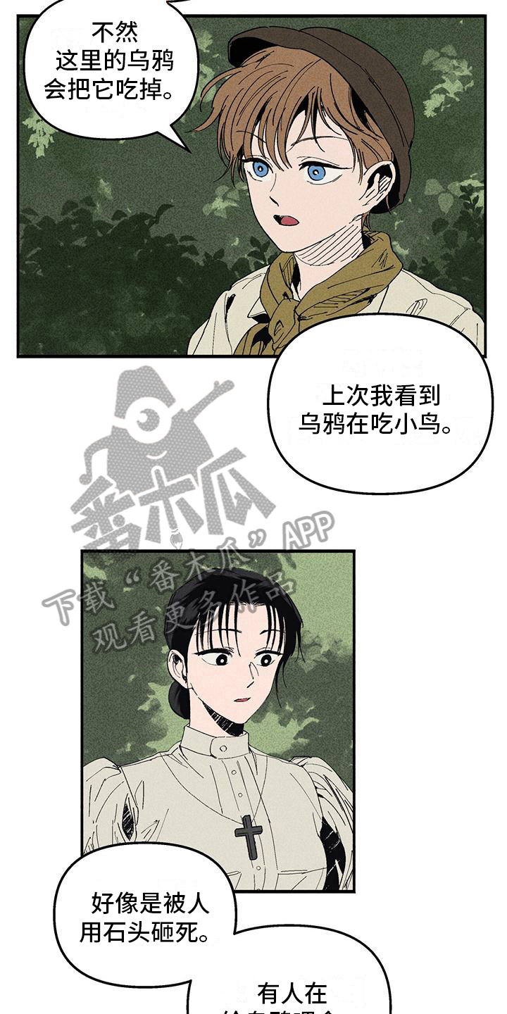 《女巫岛》漫画最新章节第25章：询问免费下拉式在线观看章节第【11】张图片