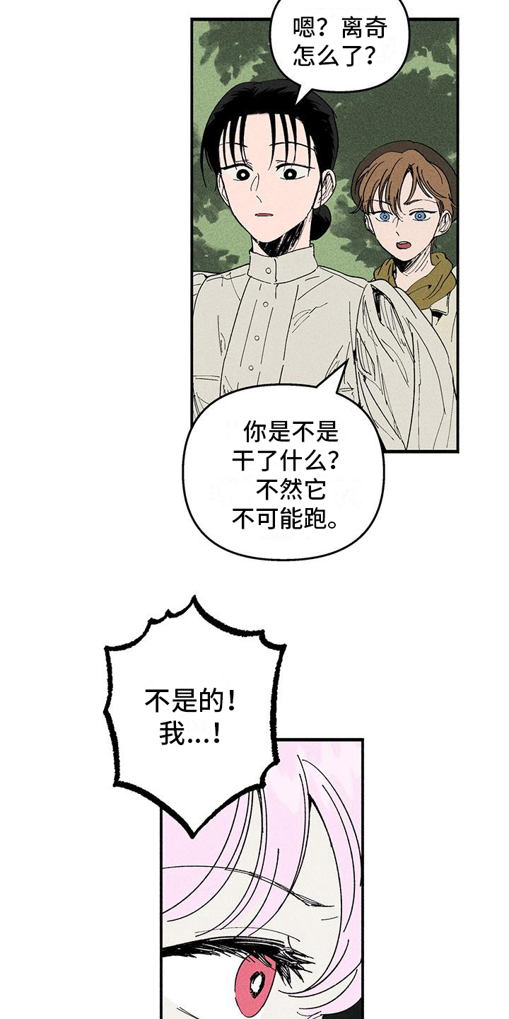 《女巫岛》漫画最新章节第25章：询问免费下拉式在线观看章节第【5】张图片