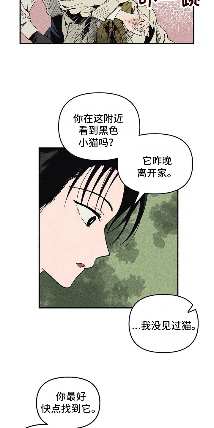 《女巫岛》漫画最新章节第25章：询问免费下拉式在线观看章节第【12】张图片