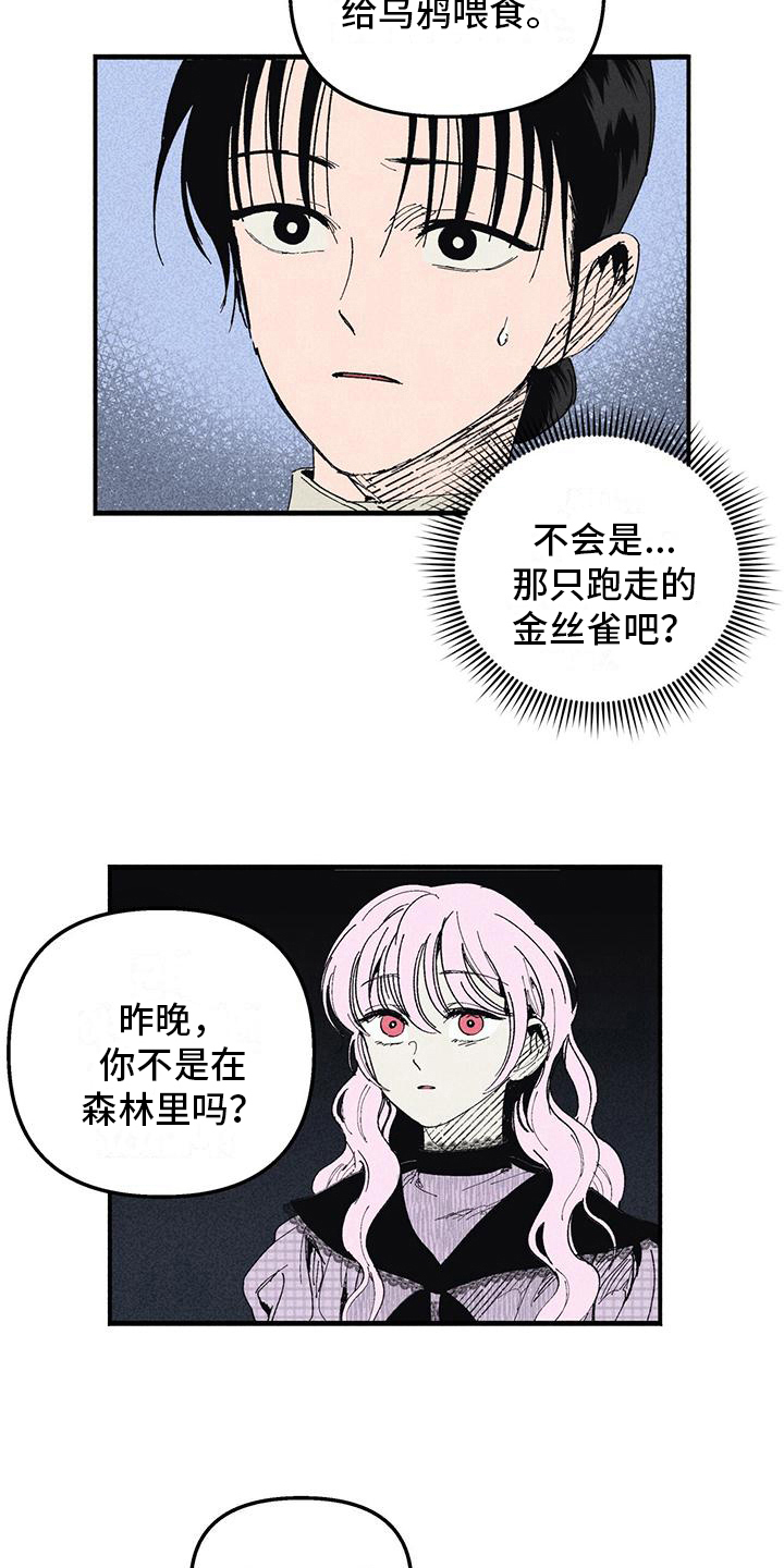 《女巫岛》漫画最新章节第25章：询问免费下拉式在线观看章节第【10】张图片