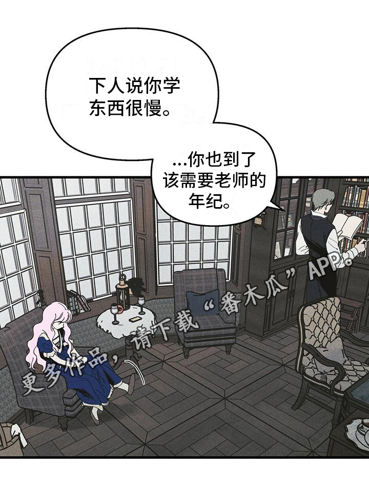 《女巫岛》漫画最新章节第30章：影子免费下拉式在线观看章节第【1】张图片