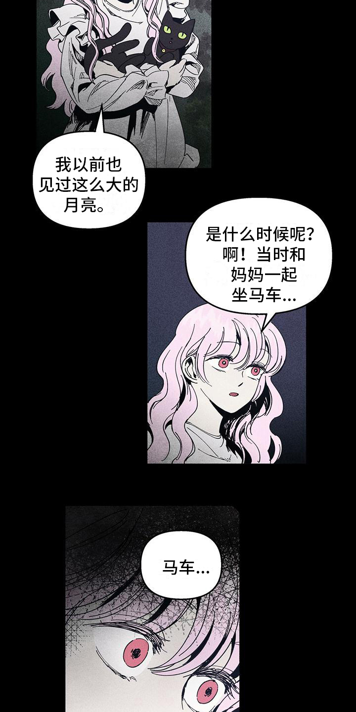 《女巫岛》漫画最新章节第31章：记忆缺失免费下拉式在线观看章节第【11】张图片