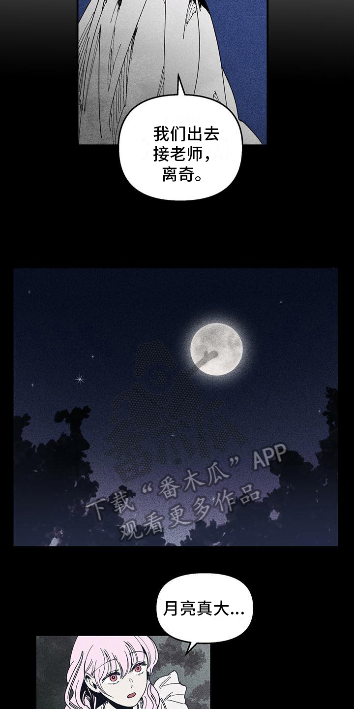 《女巫岛》漫画最新章节第31章：记忆缺失免费下拉式在线观看章节第【12】张图片