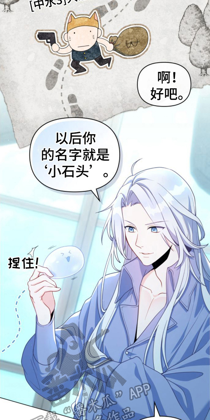 《转世白月光》漫画最新章节第8章：取名免费下拉式在线观看章节第【17】张图片