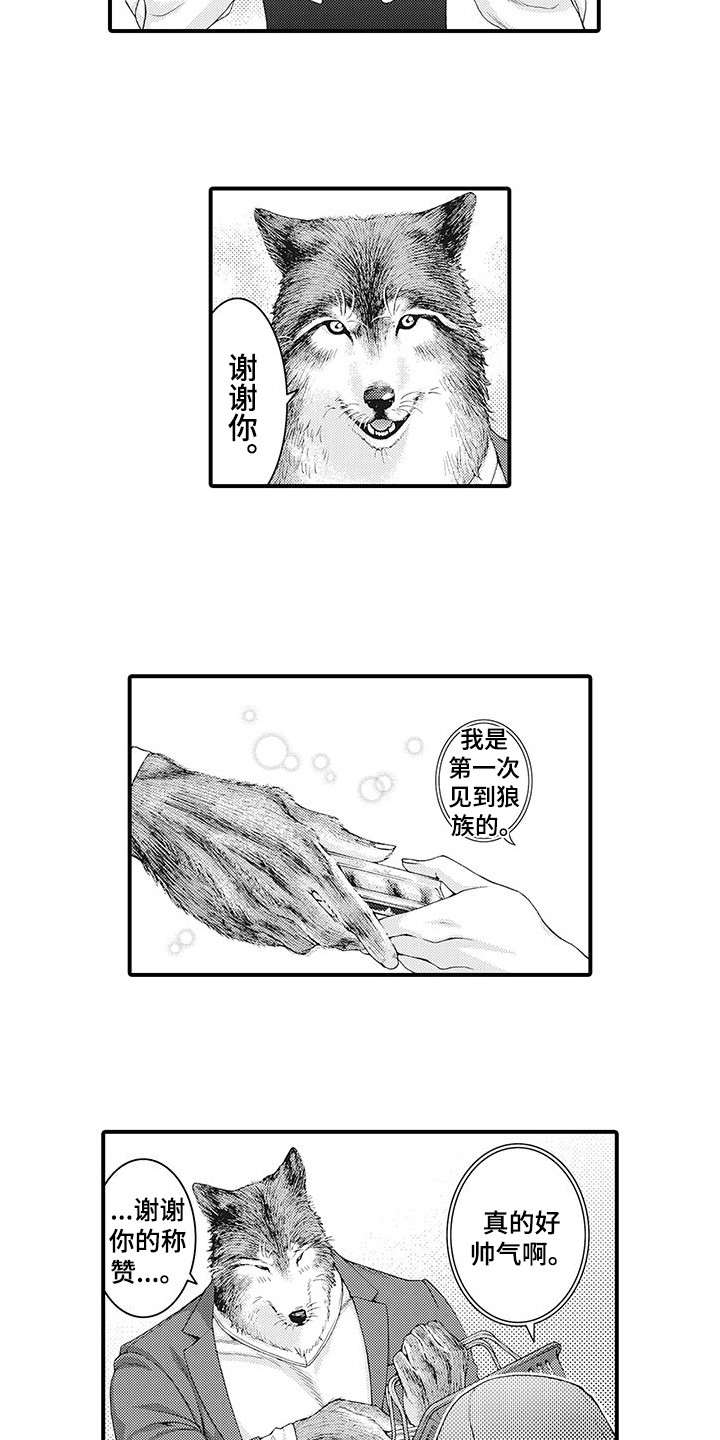 《毛绒绒男友》漫画最新章节第2章：比比划划免费下拉式在线观看章节第【4】张图片