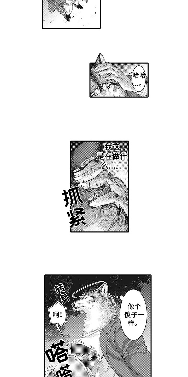 《毛绒绒男友》漫画最新章节第4章：巧遇免费下拉式在线观看章节第【7】张图片