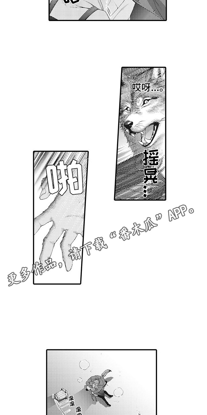 《毛绒绒男友》漫画最新章节第4章：巧遇免费下拉式在线观看章节第【6】张图片