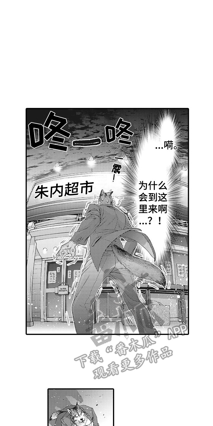 《毛绒绒男友》漫画最新章节第4章：巧遇免费下拉式在线观看章节第【8】张图片