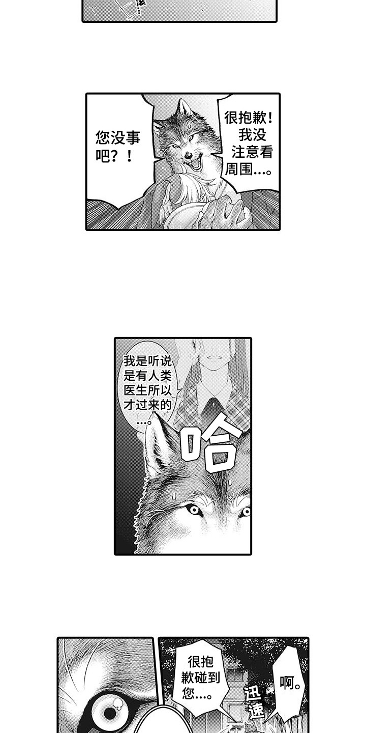 《毛绒绒男友》漫画最新章节第4章：巧遇免费下拉式在线观看章节第【5】张图片